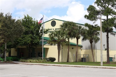 Minsky Gym