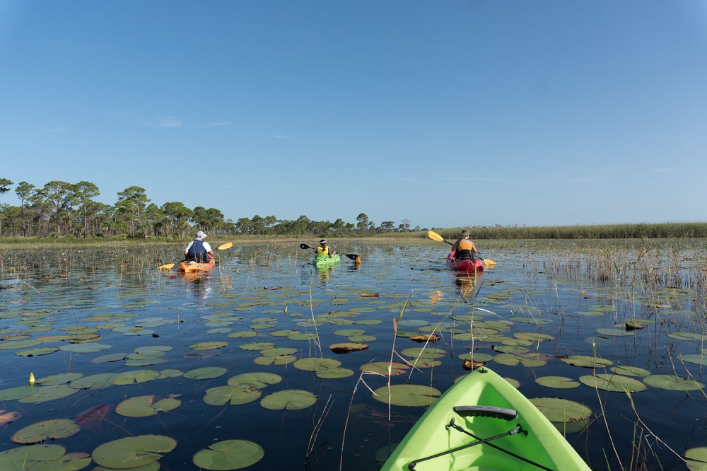 McCarty Ranch Kayak