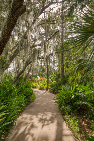 Botanical Gardens walking trail