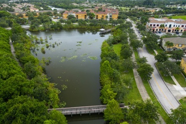 Mary Ann Cernuto Park aerial of lake and observation deck