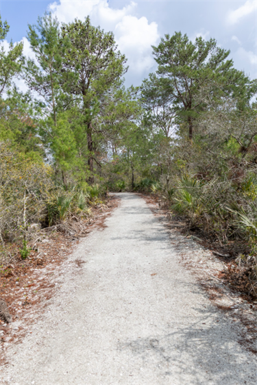 The Preserve trail