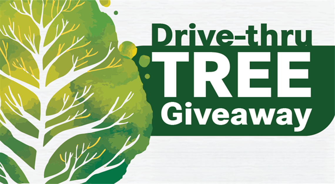 Drive Thru Tree Giveaway