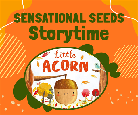 Storytime in the Gardens Sensational Seeds