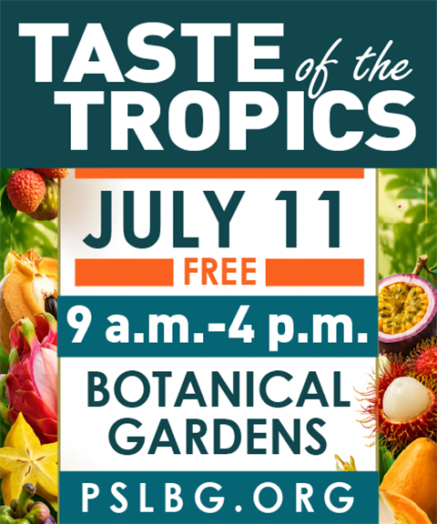 Taste of the Tropics