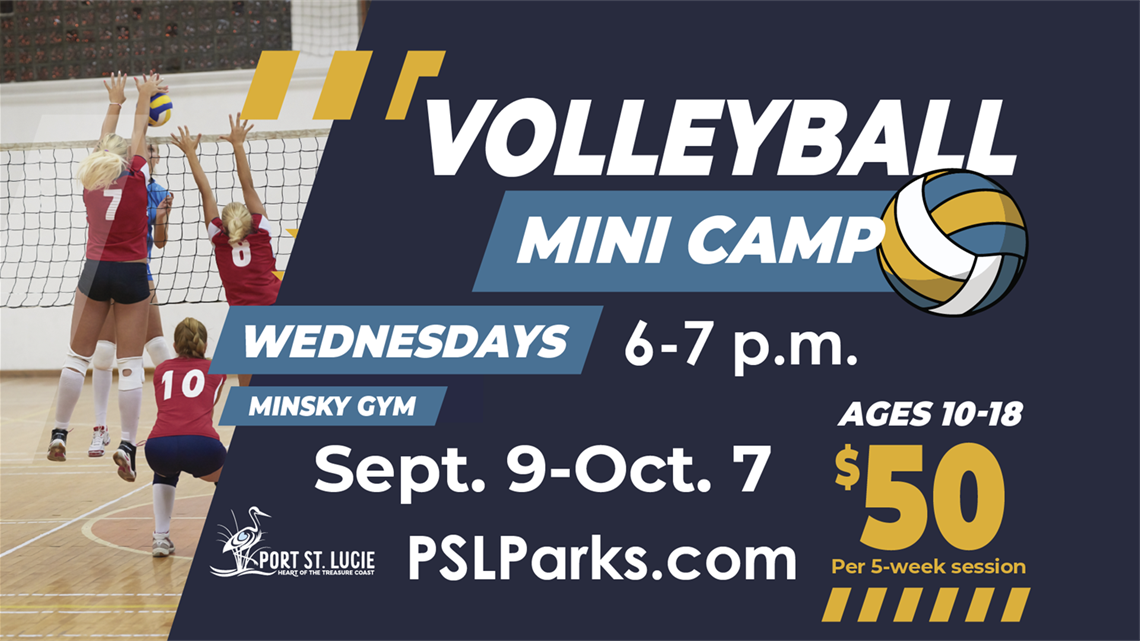 Volleyball Mini Camp
