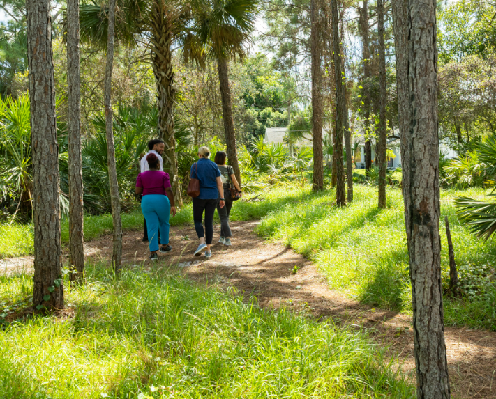 walking trail through green space