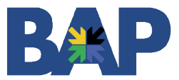 Business Accelerator Program