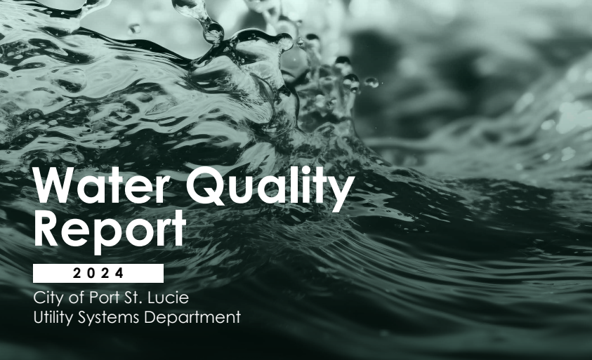 water quality report