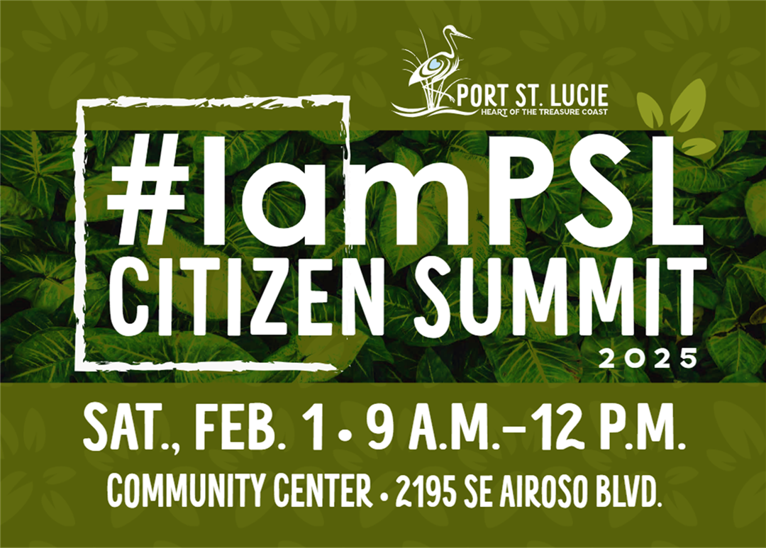 IamPSL Citizen Summit offers residents a chance to help plan the