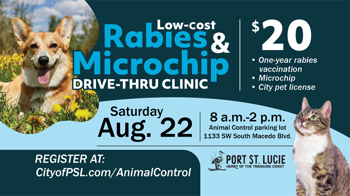 Low Cost Rabies Microchip 2026