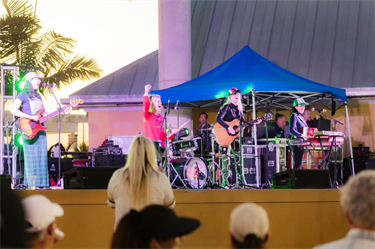 Irish Fest band performing live