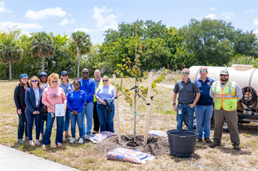 Arbor-Day-Tree-Planing-4-25-25-staff-group.png